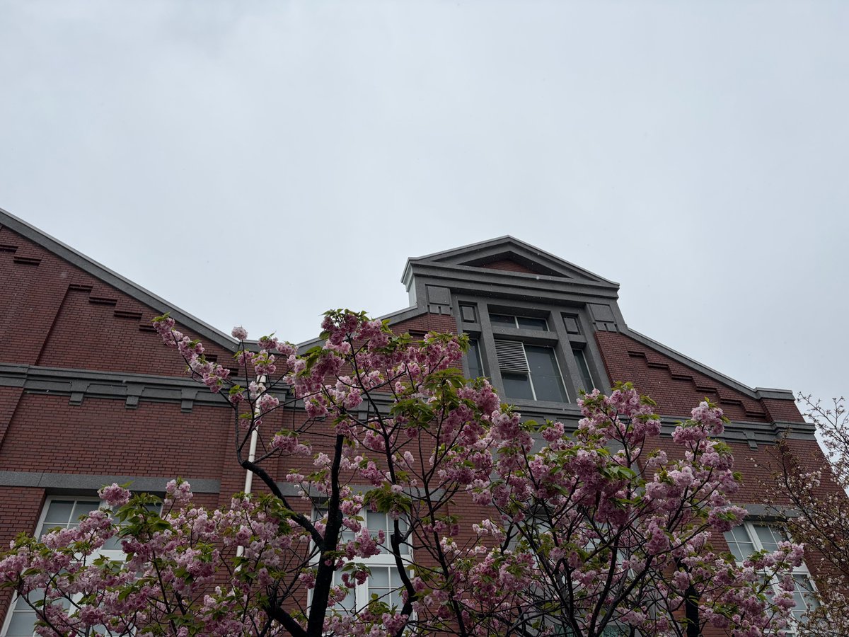 イルカちゃん🐬（キタムラアイ）→デザイナー＆海洋生物専門イラストレーター tweet media