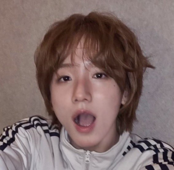 셈른 아카이브 tweet media