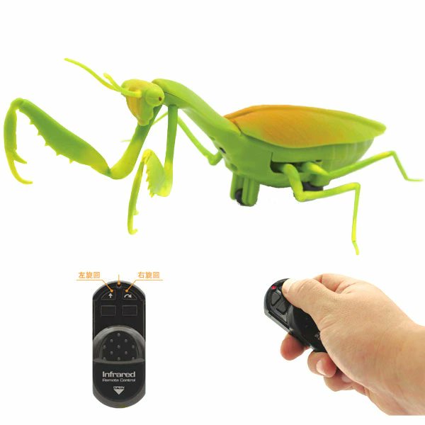 TYO_omatsuri's tweet image. Creeping through the living room, the [92814: IR RC Mantis].
Son grips the remote, thrilled by its realism.
Family laughs as he tries to ambush Dad.
Everyday life turns into a special adventure.

#SPDICTIONARYWEB #RCCar #Insects #FamilyTime