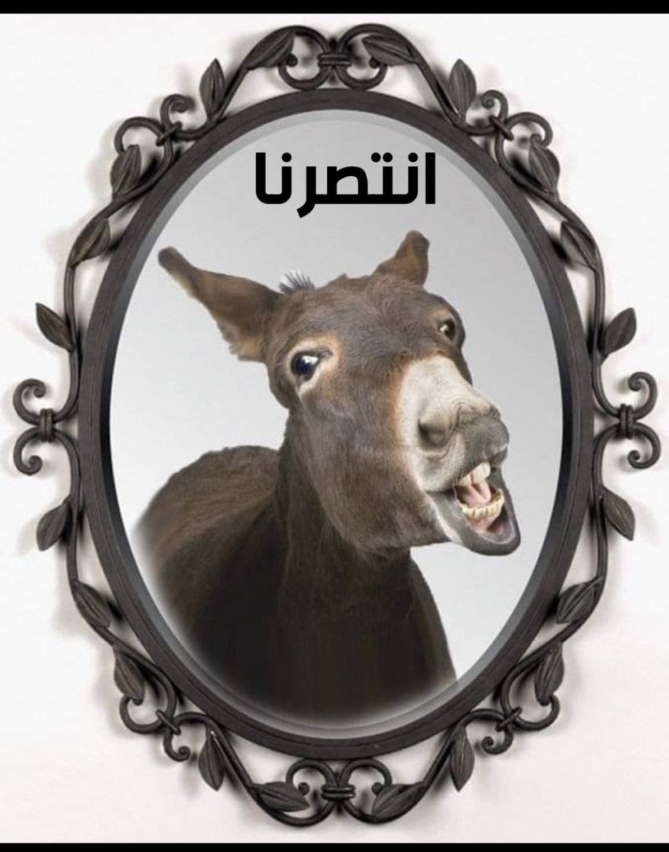 🦋🦋 tweet media