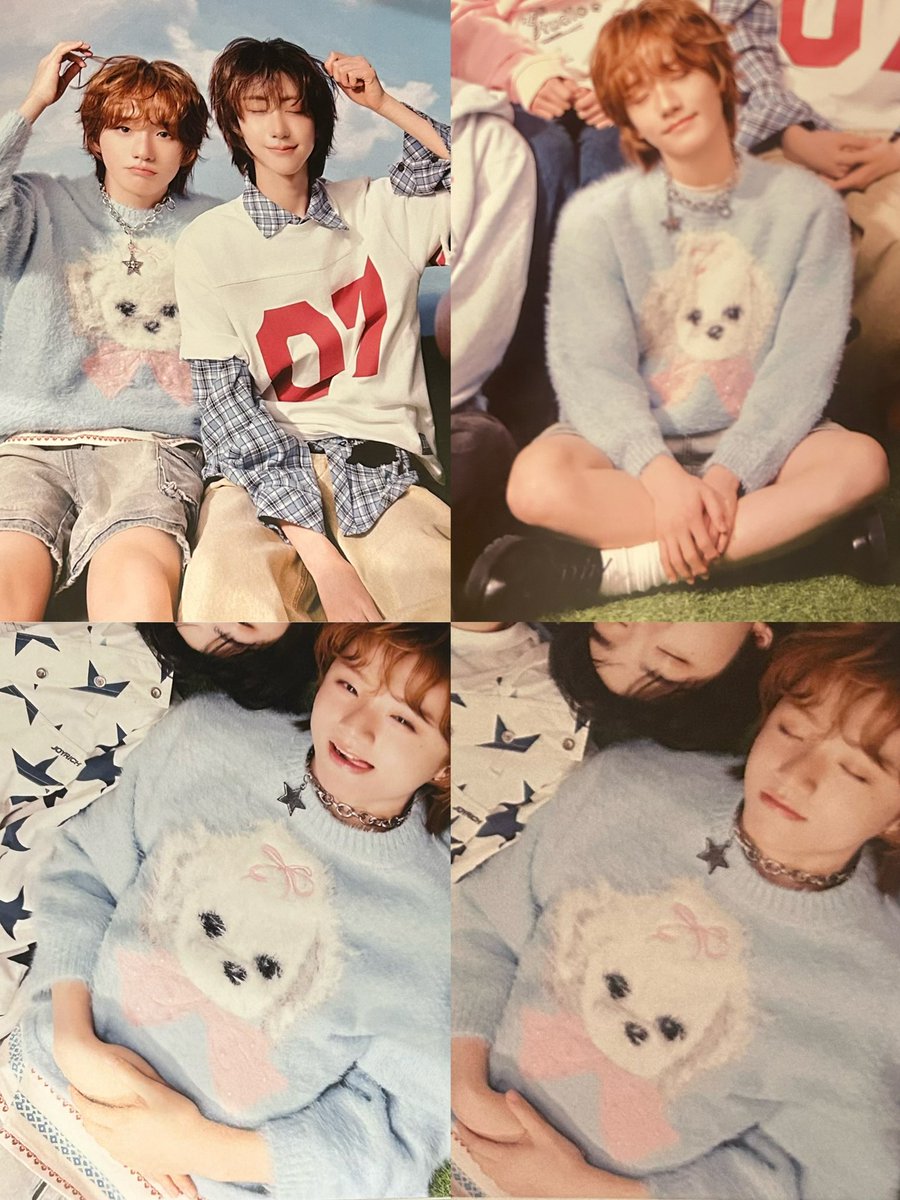 셈른 아카이브 tweet media