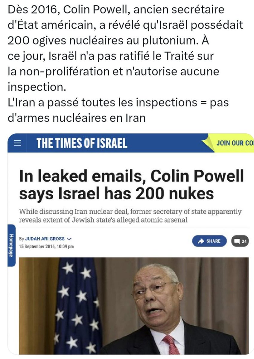 Targui🌴 tweet media