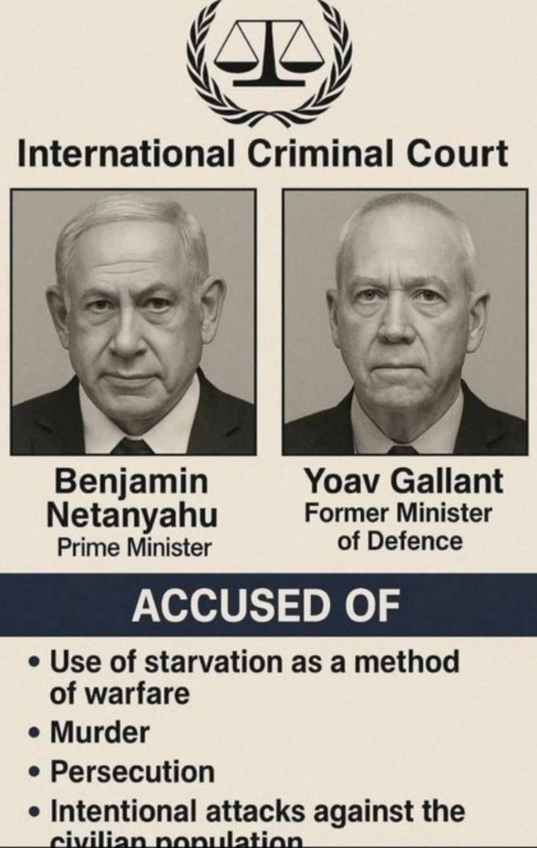 Targui🌴 tweet media