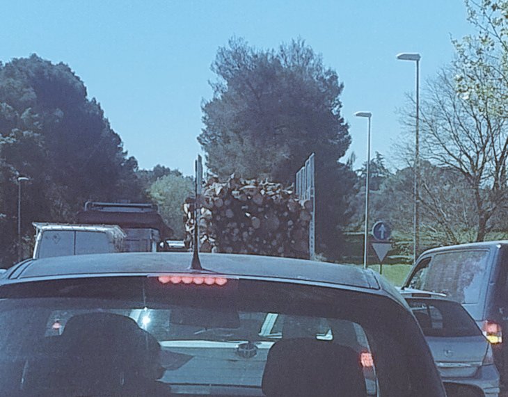 Nuriaipunt tweet media