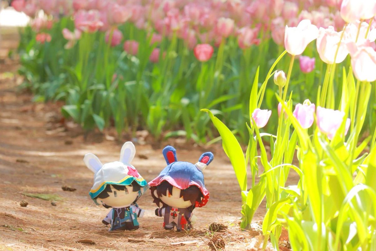 桜也（おーや） tweet media