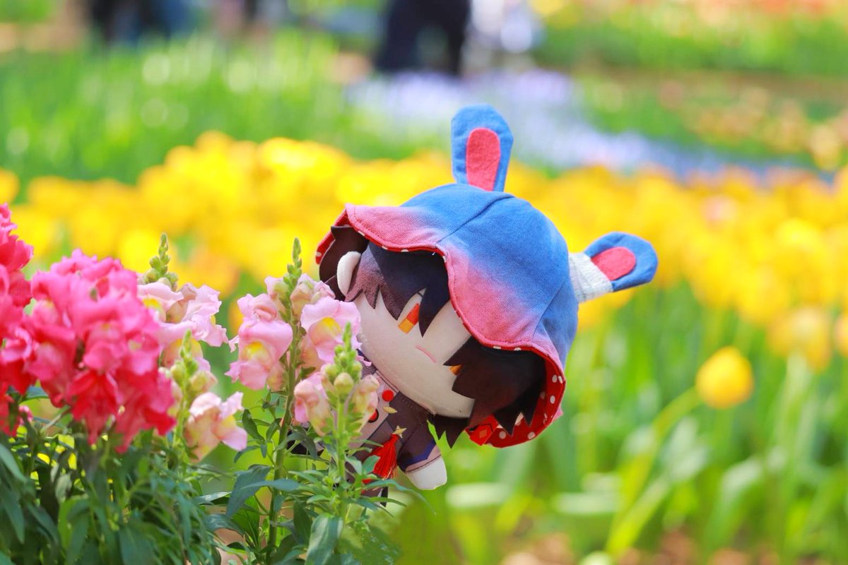 桜也（おーや） tweet media