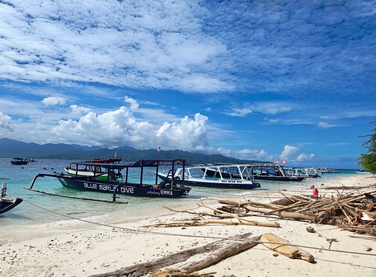 sekar wangi tweet media