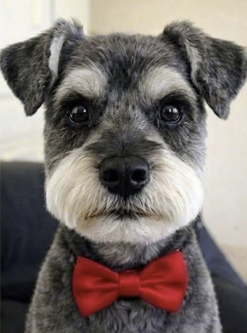 nixCraft 🐧 tweet media