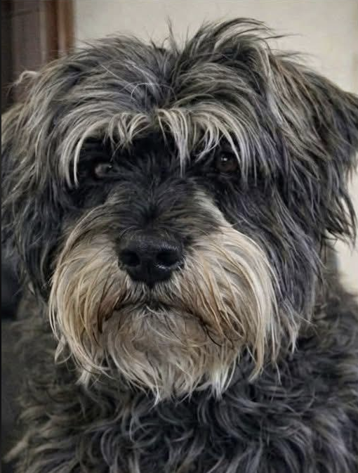 nixCraft 🐧 tweet media