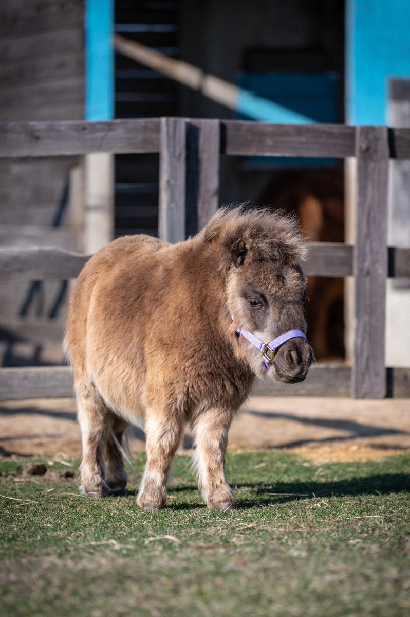 まりっぺ@うま tweet media