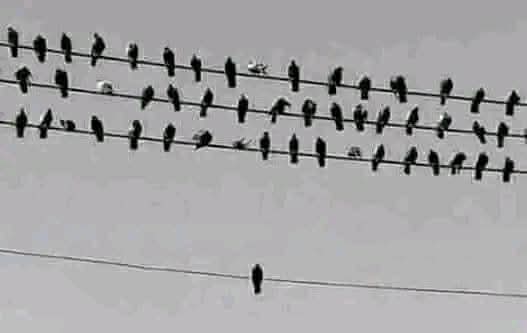 نـايـف بـن خـتـام 🇸🇦 tweet media