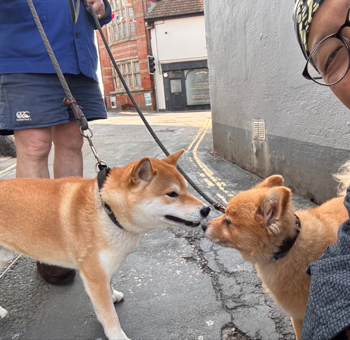 TOKYOMODELING@次回はWF2026s tweet media