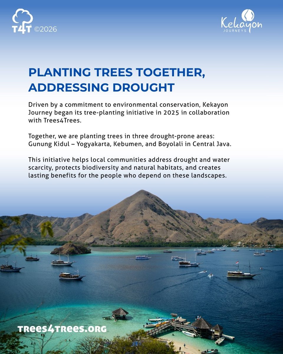 Trees4Trees tweet media