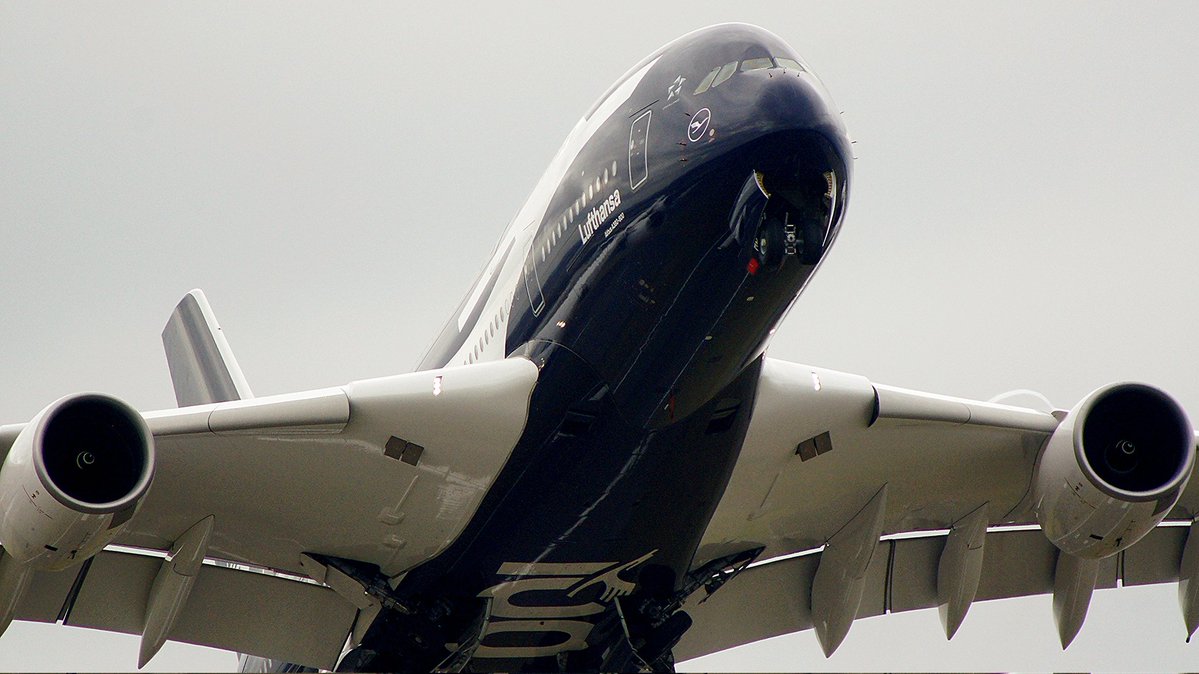 クジラ空母🐳 tweet media