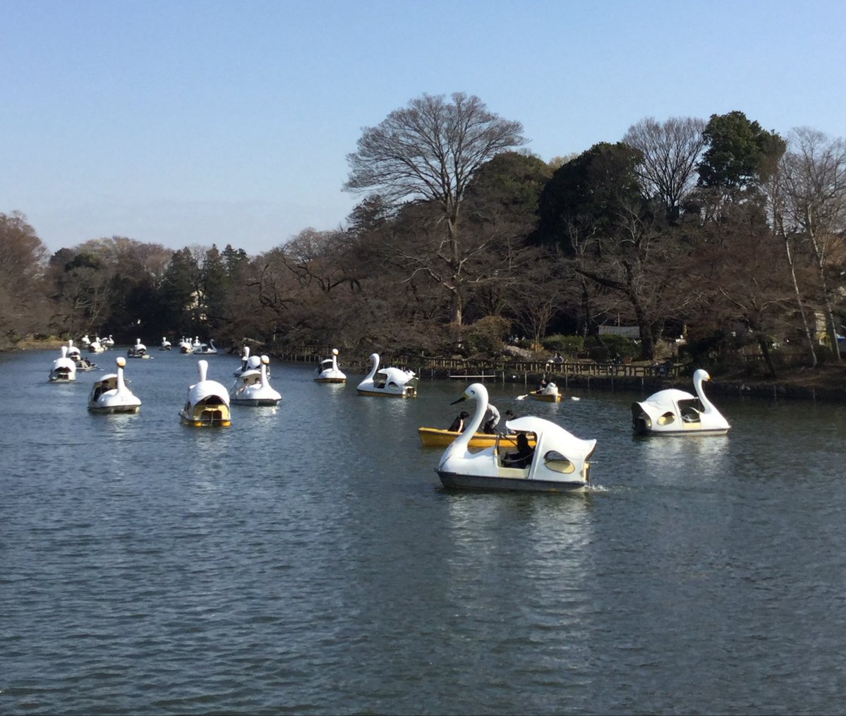 𝟹𝟾 ஐ tweet media