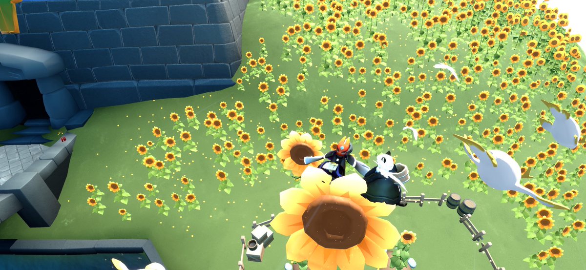 Minkalin285's tweet photo. After that, there were sunflowers everywhere, it's very very beautiful https://t.co/H1904wTWaS