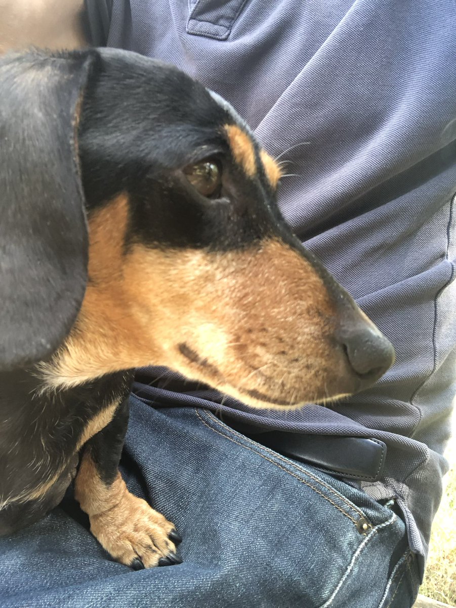 Susannah Rayner tweet media