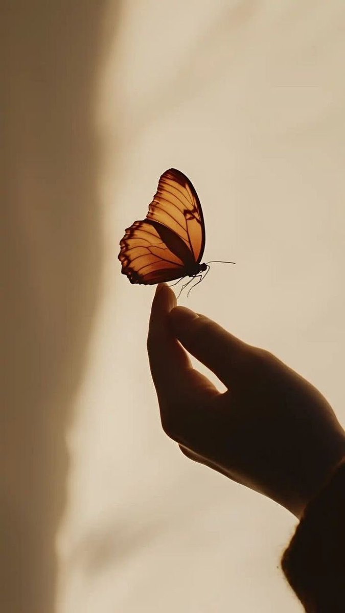 السَّارِيةَ🇸🇦 tweet media