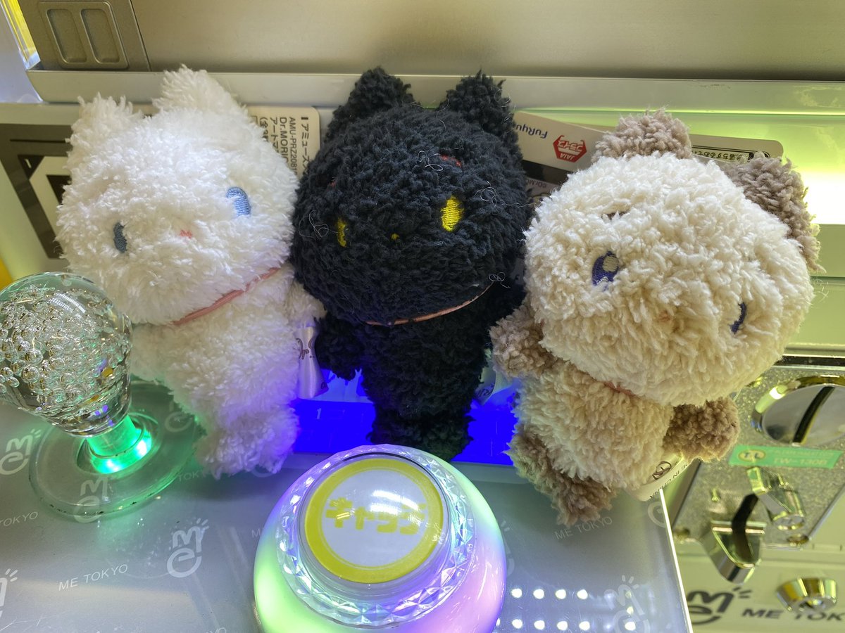MetokyoShinjuku's tweet photo. 🌟新景品情報🌟
【1F】
#モンチッチ フラワーマスコット
#DrMORICKY アートマスコット vol.1
#ひつじのショーン BS アフタヌーンティーパーティ MC2
入荷しております!!
皆様のご来店お待ちしております🥰
#METOKYO
#感情解放区 https://t.co/1CtrQ2FXNb