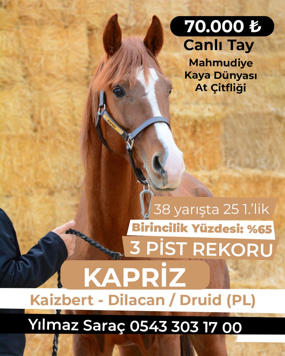 🏇 Yarış Rüzgarı 🌪️ tweet media