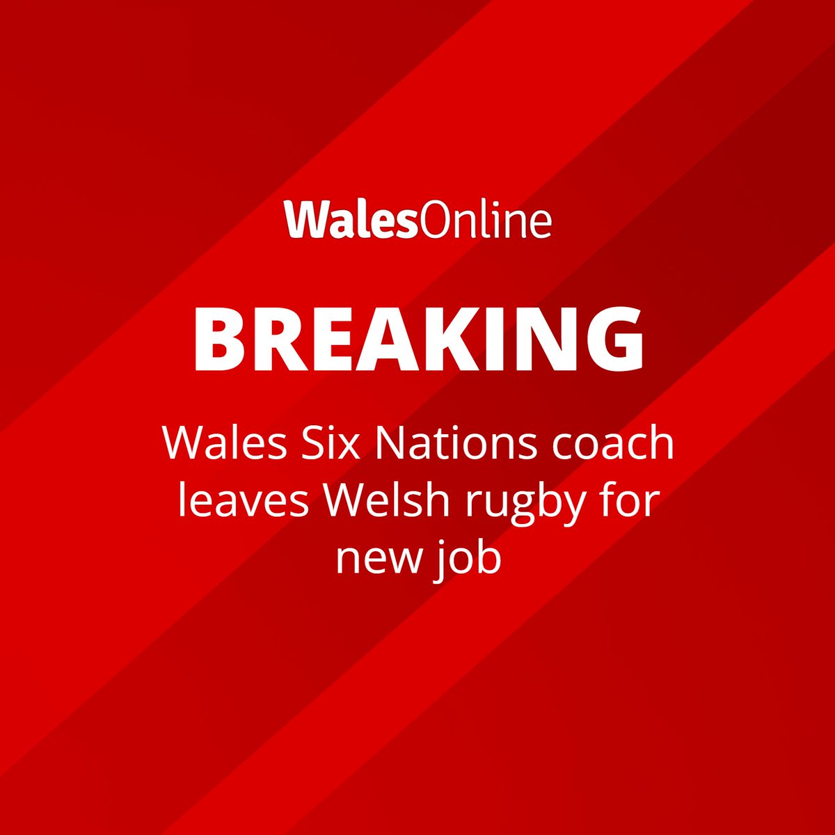 WalesOnline Rugby tweet media