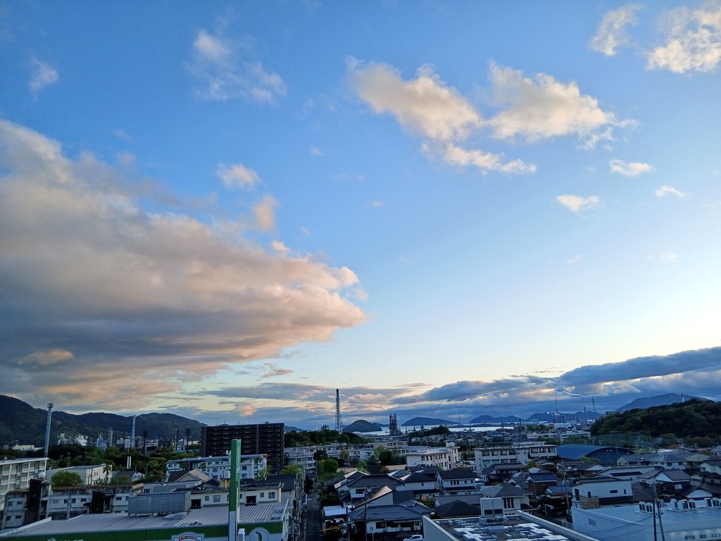 合歓の木 tweet media