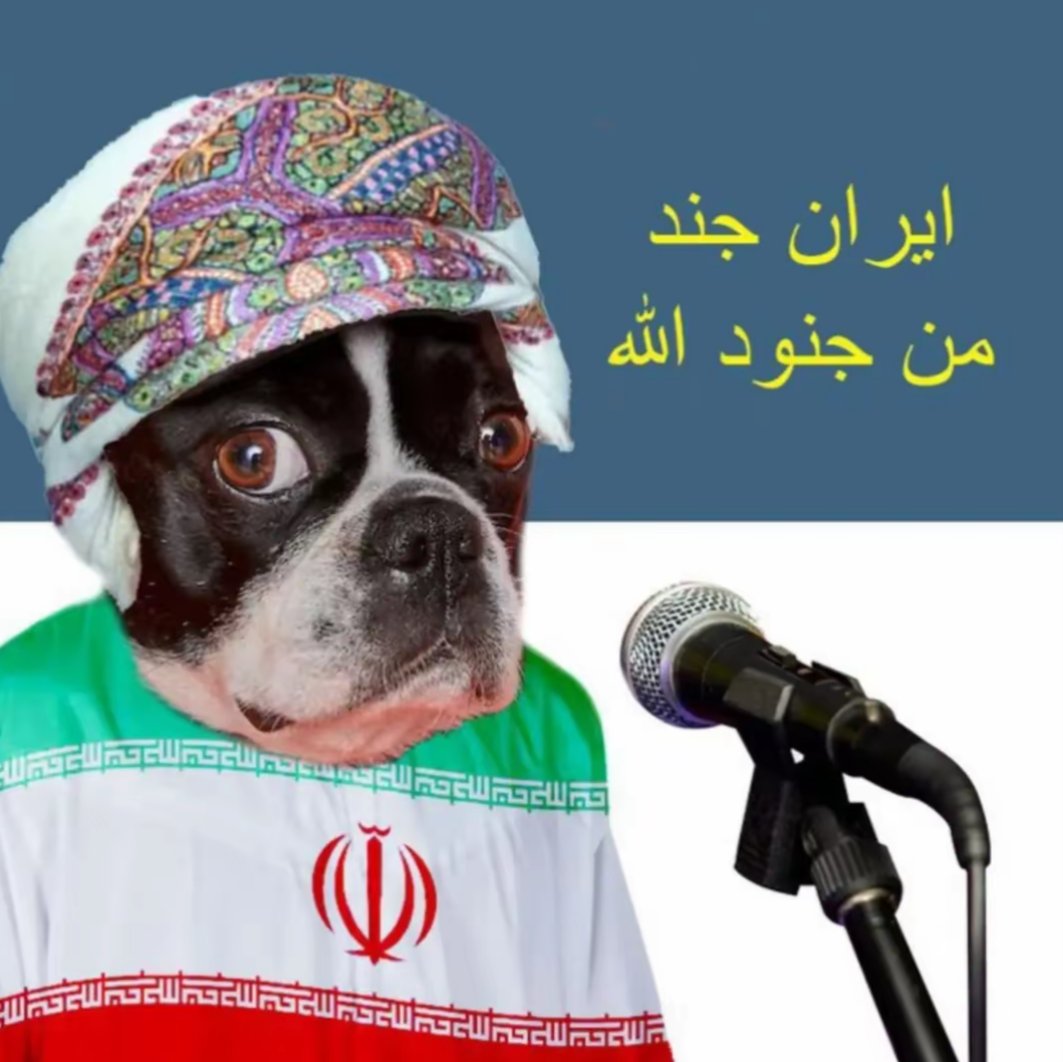 امية tweet media