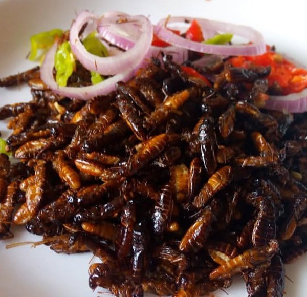 Prince(プリンス)🇳🇬🇯🇵 tweet media