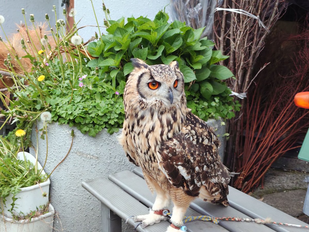 東京運河 tweet media