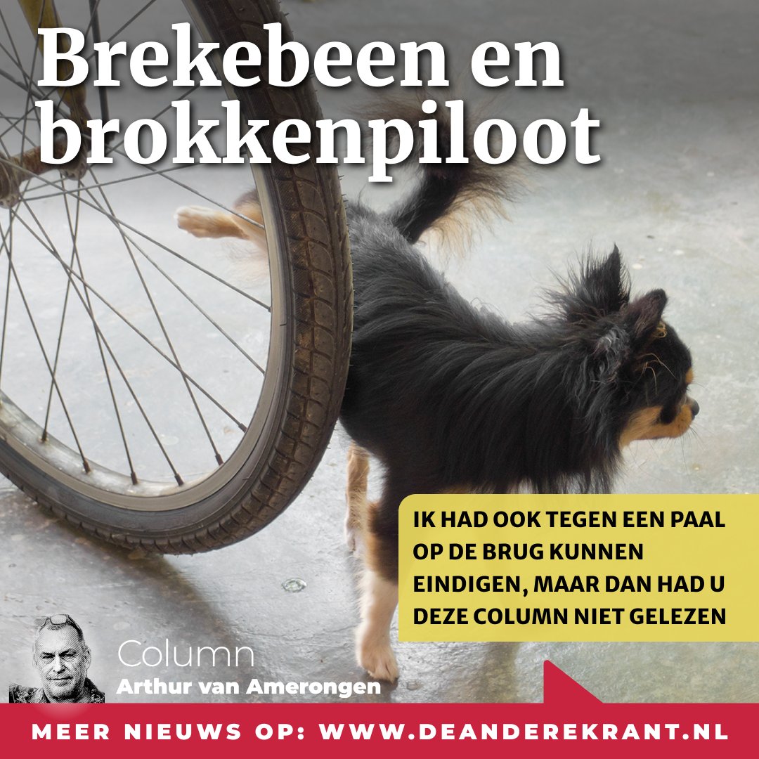 De Andere Krant tweet media