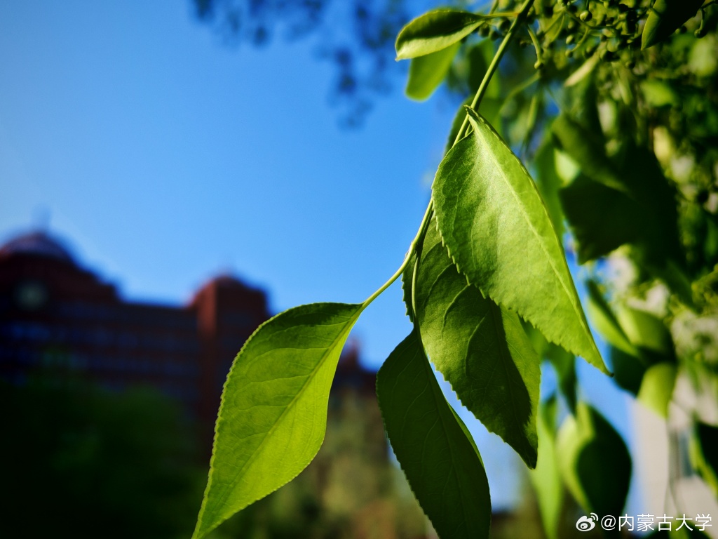 Anne-Gaëlle COLIN tweet media