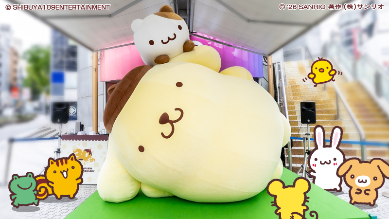 ポムポムプリン【公式】 tweet media