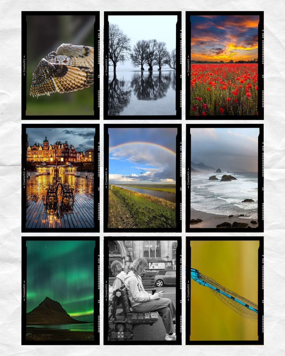 St.Ives Photographic Club tweet media