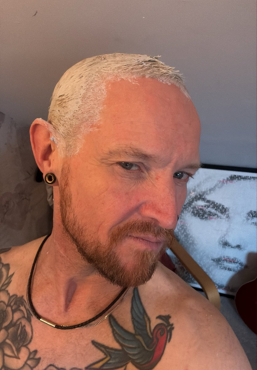 All this scratching is making me itch! tweet media