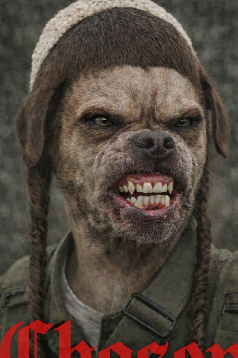 karimullah karim tweet media