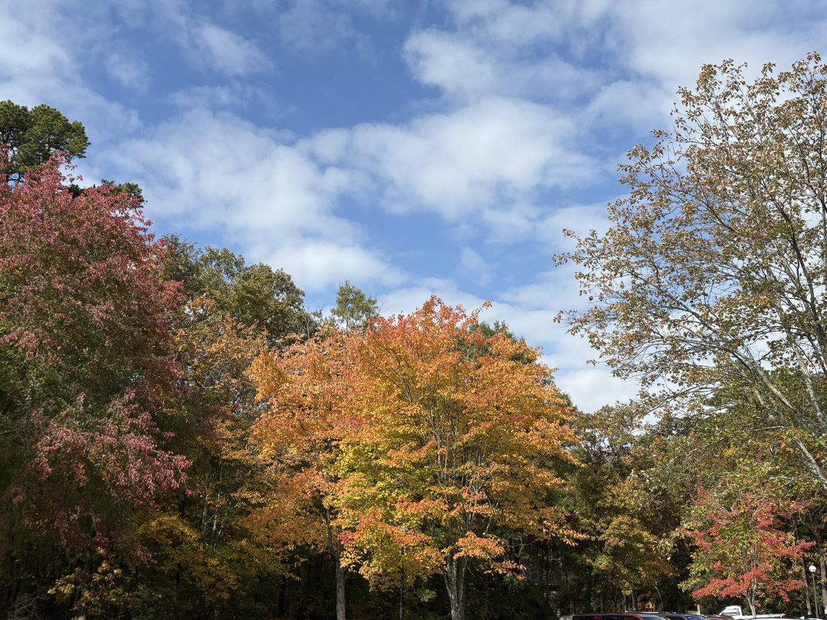 ave_omnibus's tweet image. Buds blossom and fall
Summer days give way to frost
Winter yields to spring
Seasons make an endless 
A Mobius treadmill path

#vss365 #loop #tanka

Our bodies surrender back the elements of form to air, dust, rock, and water