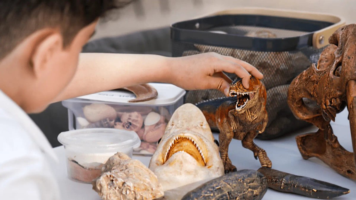 sharjah24's tweet image. Mleiha National Park unveils educational #workshops for children
sharjah24.ae/en/Articles/20…
#Sharjah24