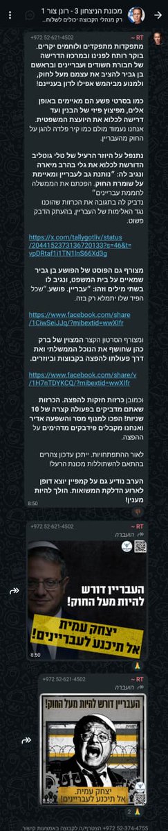 ארבלאו צייד הטונות 🇵🇹 tweet media