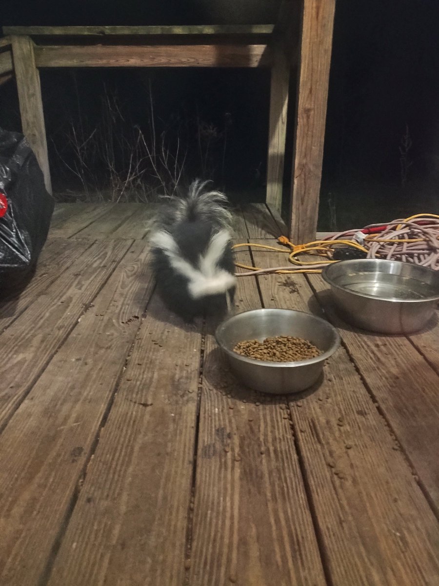 Well ..I got myself sprayed tonight 😂🦨 clothes are in the wash but Ive been barfing.. 💀