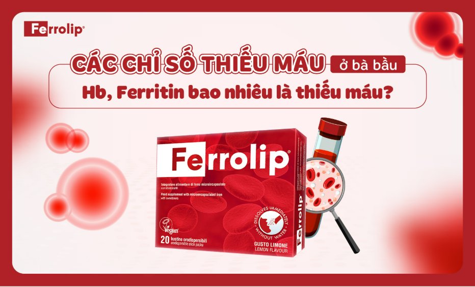 bsbinhferrolip's tweet image. Chỉ số thiếu máu ở bà bầu - Hb, Ferritin bao nhiêu là thiếu máu? 

➡️➡️➡️ ferrolip.vn/chi-so-thieu-m…
#ferrolipbau #ferrolip #satbaovinang #satfebaufe