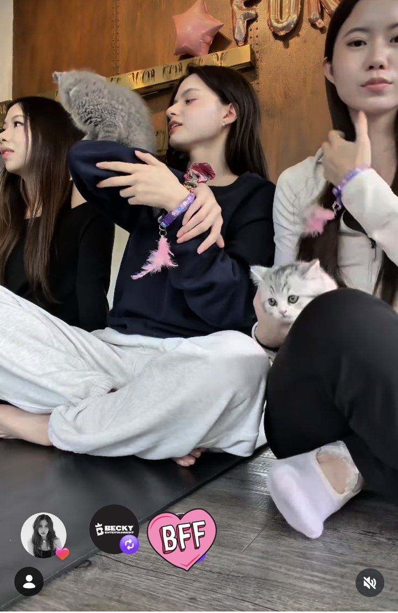 Observadora🐰🦦 tweet media