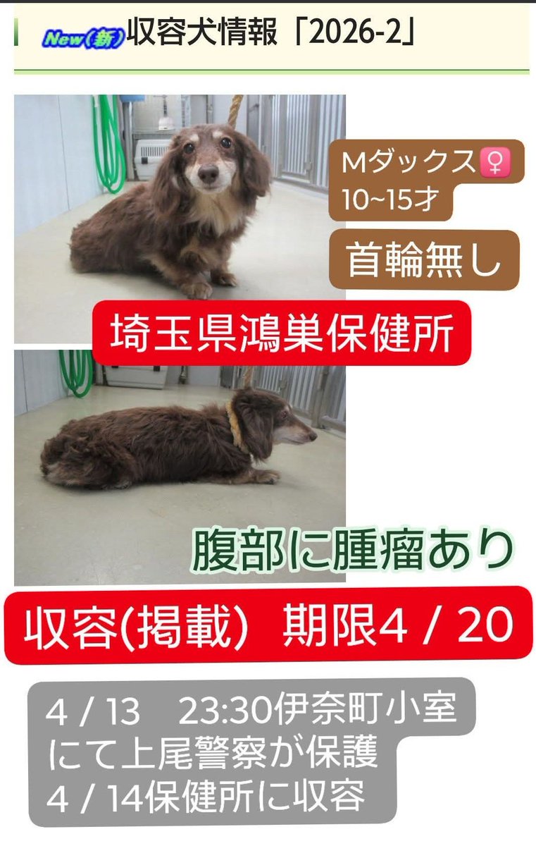 JohnGaku tweet media