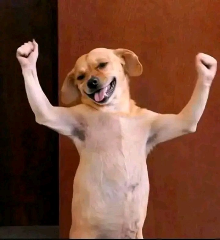 Retired Elder Rex M.E Midzi tweet media