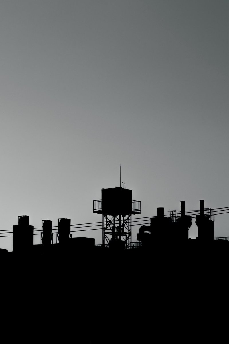 Nao Kudo tweet media