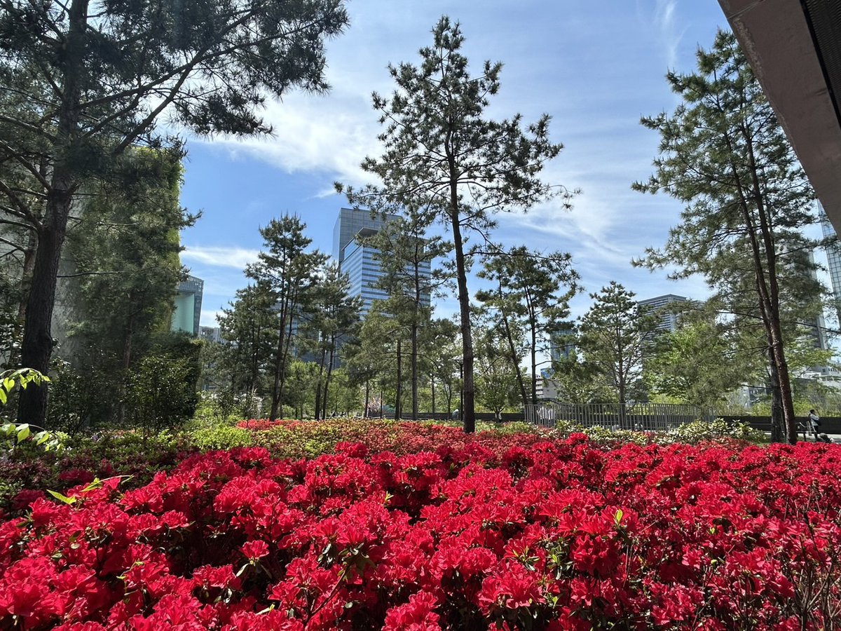 グラングリーン大阪(GRAND GREEN OSAKA)【公式】 tweet media