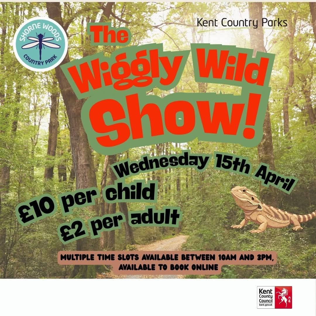 Visit_Gravesham's tweet image. Fantastic #HalfTerm activities for all the family to enjoy this week at #ShorneWoods Country Park 🐛🐟🔥

Find details of upcoming events in #Gravesham - visitgravesend.co.uk/whats-on