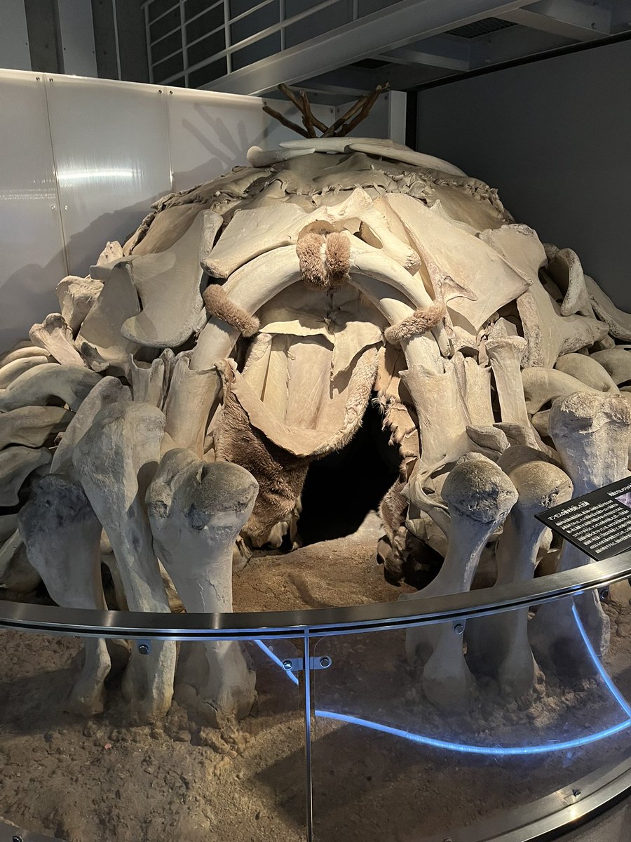 マシュマー・テロ tweet media