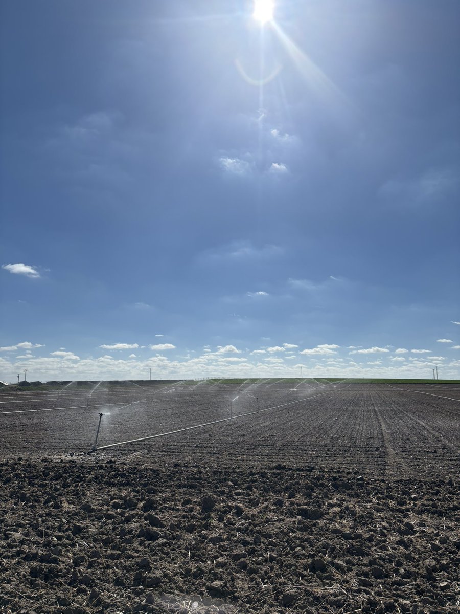 Fiby 🐦‍🔥 tweet media