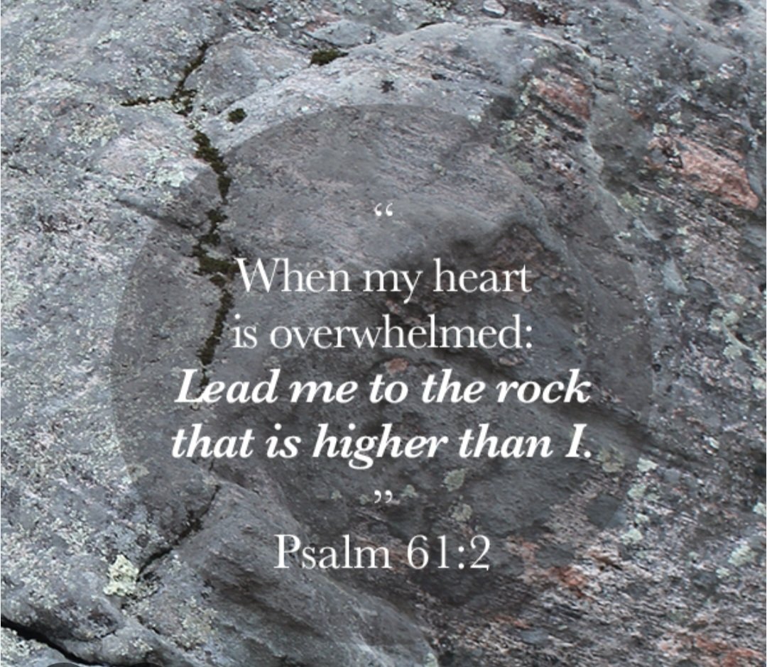 Kevin Barnette tweet media