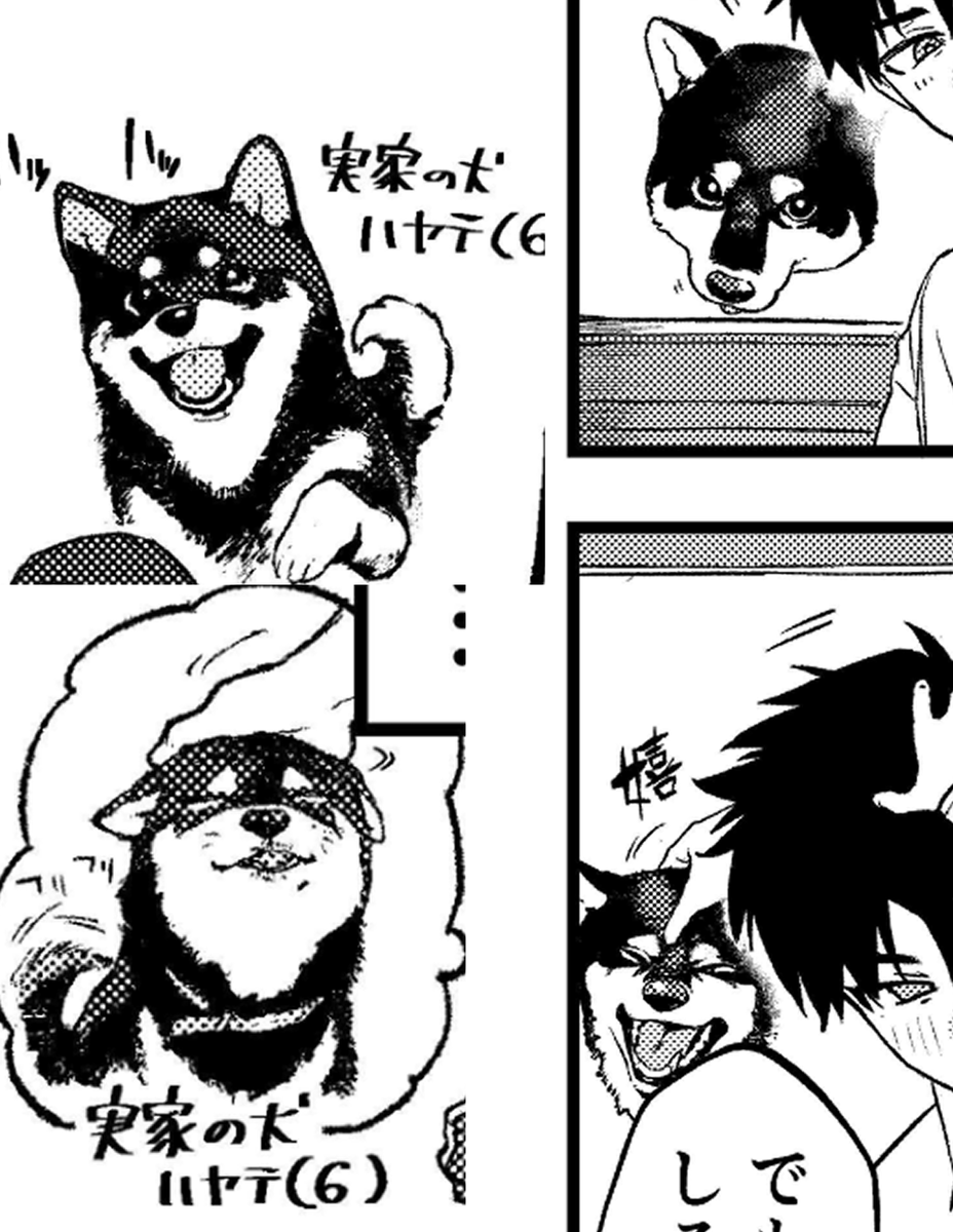 エロ漫画製作中に犬を描きたくなったため登場した犬 